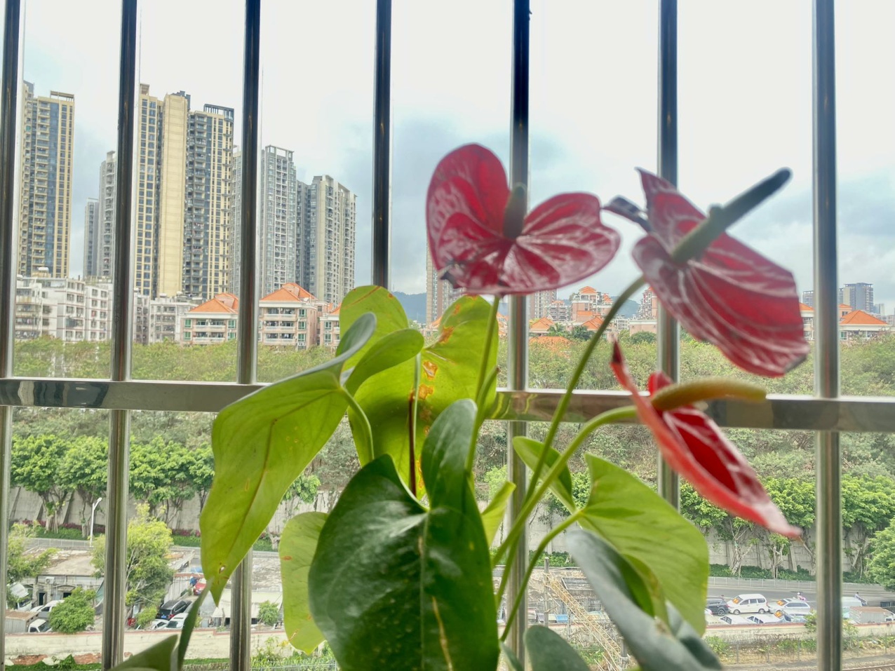 1753242853428436.jpg 4c98c1500917df0d2251f5b447a95dd8.jpg