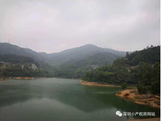 山水綠園一房一廳56平方，56.8萬/套起