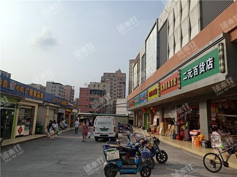 樟坑徑下圍社區公園