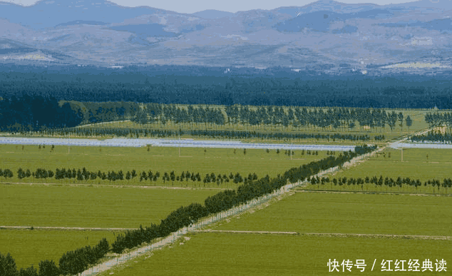 各個回遷房小區的具體情況也不一樣