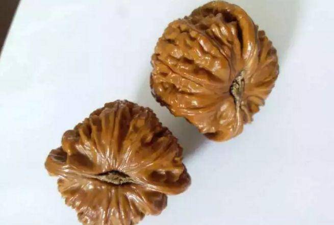 許多人把骨質誤認為皮質