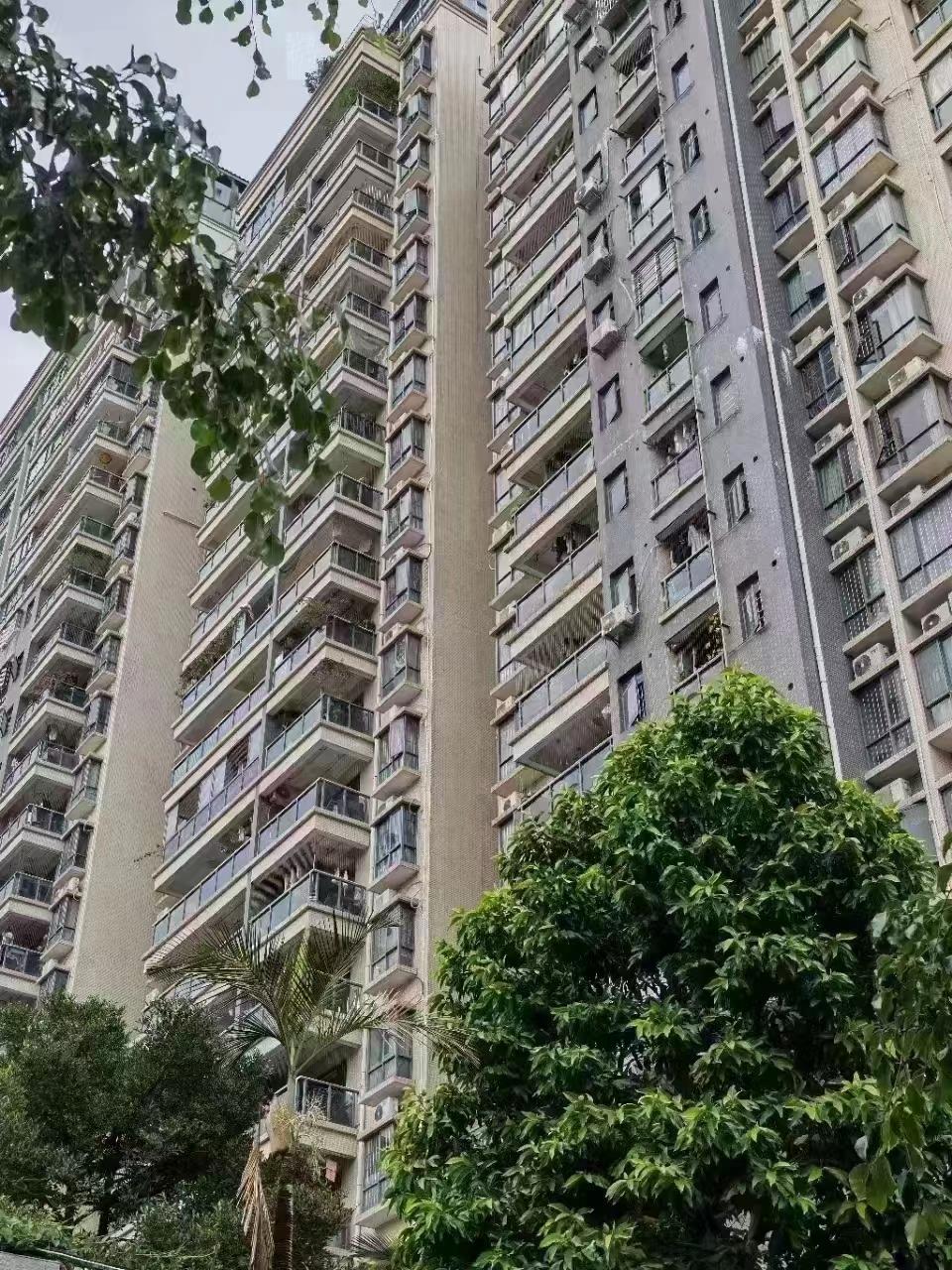 大型村委統建樓升飛園小區